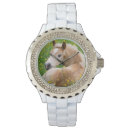 Search for foal accessories Horse