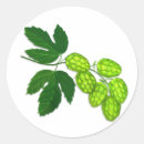 Search for hop stickers Botanical