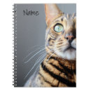 Search for bengal Cute