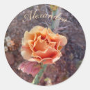 Search for desert flower stickers Southwest