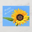 Search for summer birthday cards Sky