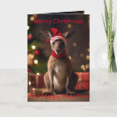 Search for funny australian christmas cards Kangaroo