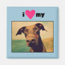 Search for dog ear magnets Cute