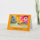 Recherche de rongeurs invitations Souris