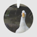Search for white duck ornaments Animals