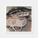 Search for constrictor Animal
