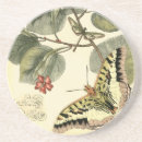 Search for dragonfly coasters Whimsical