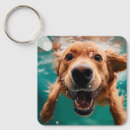 Search for dynamic keychains Dog products