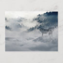Search for winter snow wolf postcards White