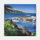 Search for hawaii magnets Ocean