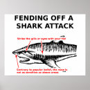 Search for shark attacks posters Funny
