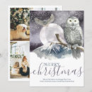 Recherche de oiseaux dans la neige vœux cartes Joyeuses fêtes