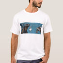 Search for iguana tshirts Illustration