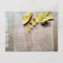 Recherche de conserve photographie Feuille