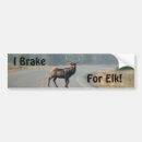 Search for elk bumper stickers Animal