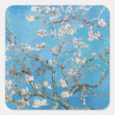 Search for almonds stickers Almond blossom
