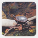 Search for happy turtle stickers Nature