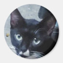 Recherche de noir et blanc chat magnets Animal
