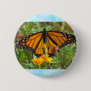 Recherche de ailes papillon badges Printemps