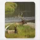 Search for mate mousepads Nature