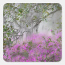 Search for magnolia tree stickers Flower