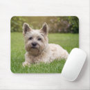 Search for cairns mousepads Pet