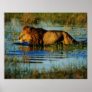Recherche de okavango posters Horizontal