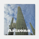 Search for arizonas magnets Desert landscape
