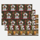 Search for yellow lab christmas wrapping paper Dog lover