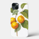 Search for peach fruit iphone cases Nature
