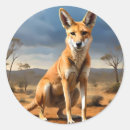 Search for kangaroo marsupial stickers Funny