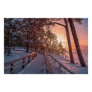 Recherche de pine forest posters Hiver