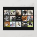 Recherche de collage chat cartes postales Mignon