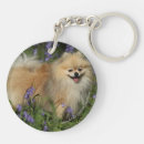 Search for pomeranian keychains Flowers