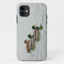 Search for mallard duck iphone cases Ducks