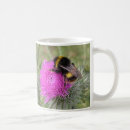 Recherche de bourdons tasses Insecte