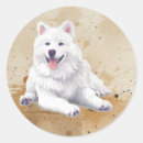 Search for american eskimo dog stickers Animal