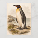 Search for penguin postcards Antique