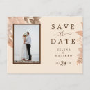 Recherche de vintage floral postcards Belle