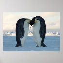 Recherche de empereurs posters Froid
