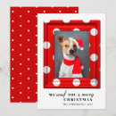 Search for dog photo christmas cards Script