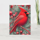 Search for red cardinal christmas cards Whimsical