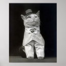 Search for vintage cat pictures posters Animals