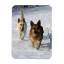 Recherche de alsacien vœux cartes Neige