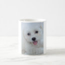 Search for coton mugs Tulear