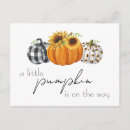 Search for little pumpkin postcards Gender neutral