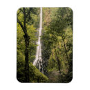 Search for cocos magnets Costa rica
