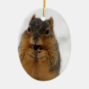 Search for funny animal ornaments Cute animals
