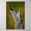 Search for fantasy travel posters Space