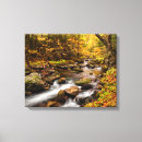 Search for birch tree canvas prints Fall